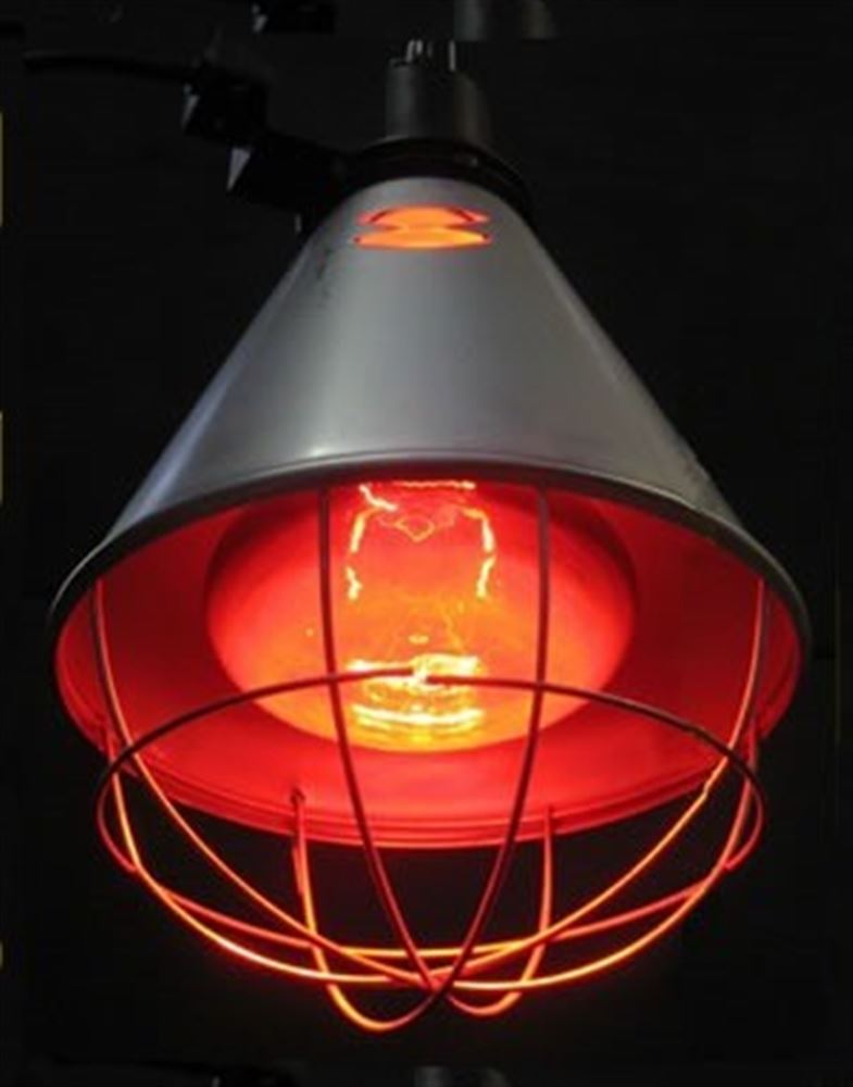 Heat Lamps and Bulbs